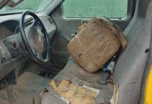 Border Patrol Agents Seize Nearly $700K in Marijuana