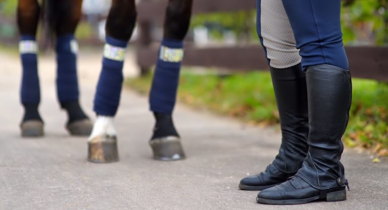 Rio Grande Valley Border Patrol and Pharr Police to Host Horse Patrol Graduation – Class 20