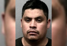 Rio Grande Valley Agents Arrest a Mara Salvatrucha (MS-13) and Two Convicted Sex Offenders