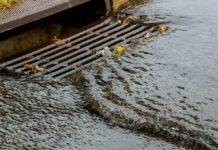 Hidalgo County Awarded $9.9 Million from GLO for Drainage Project