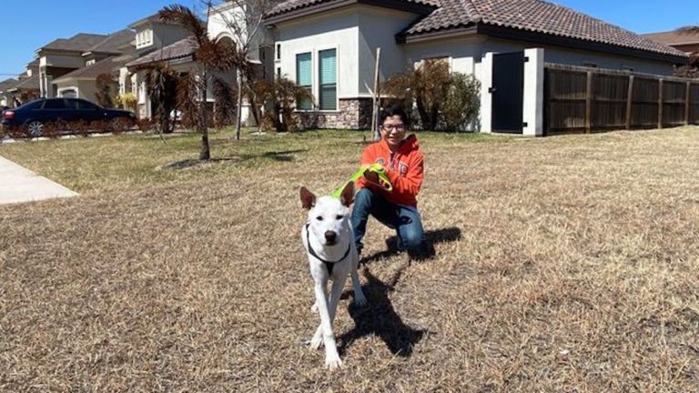 Silver Lining for Palm Valley Animal Society after Winter Storm Uri sweeps through the Rio Grande Valley