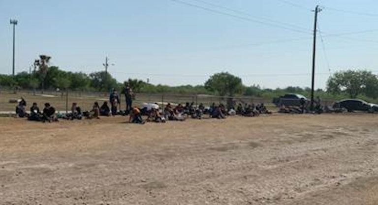 A Large Group Encountered South of La Joya, Texas