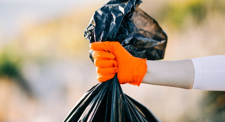 UPDATED: McAllen Public Works Brush Debris Collection Ongoing
