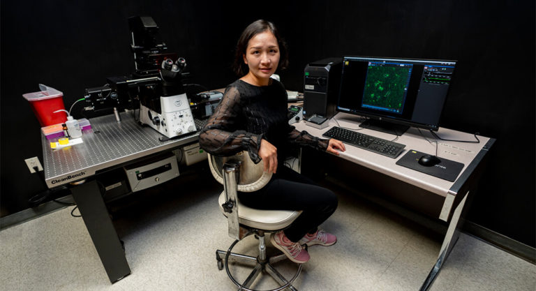 Texas A&M AgriLife Research investigating phages to fight bacterial infection