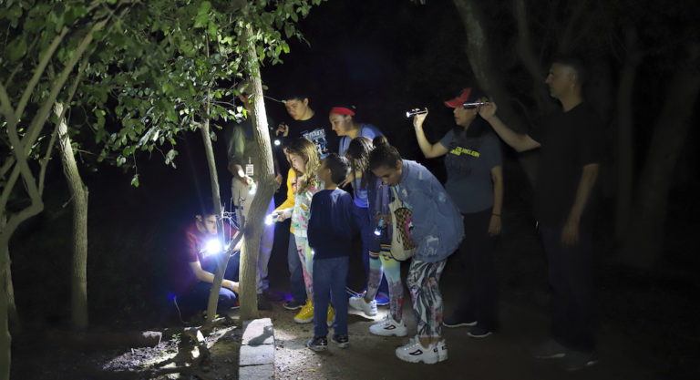 Summer Learning Adventures at Quinta Mazatlán
