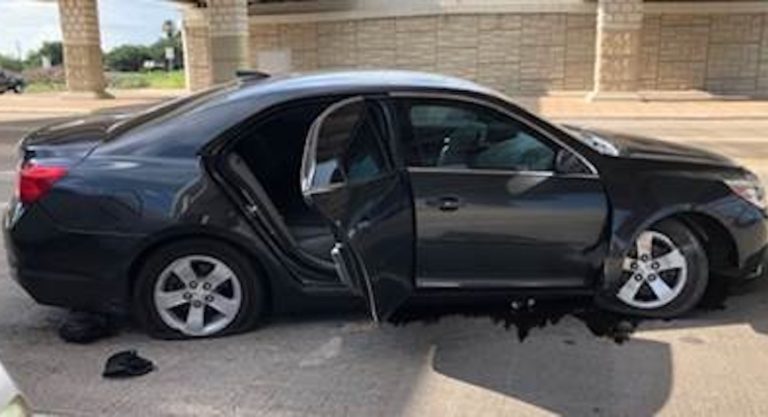 Dangerous Smuggling Halted by Law Enforcement Efforts