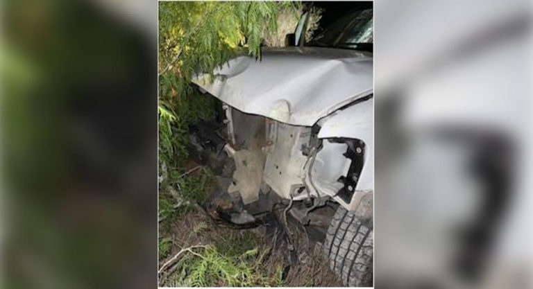 Border Patrol Operations Lead to the Arrest of 32 Migrants