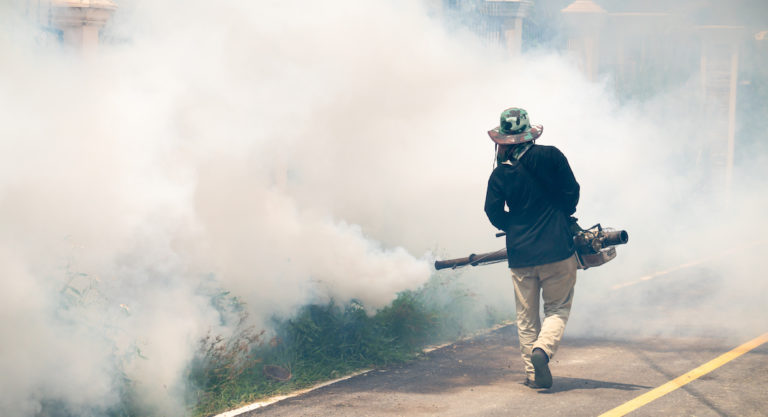 City of McAllen Health & Code Enforcement to Begin Mosquito Spraying