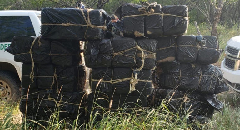 Over $1M Worth of Marijuana Seized