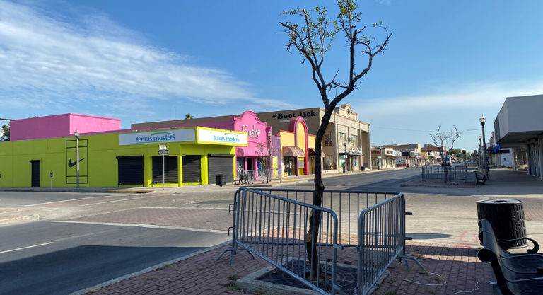 McAllen Replaces Oversized Trees in Downtown McAllen