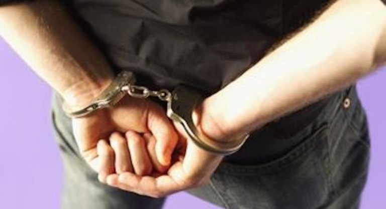 Border Patrol Agents Arrest a Gang Member and Two Child Sexual Predators