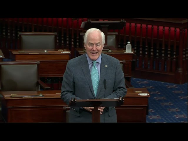 Cornyn: VP Harris Travels to the Wrong Place