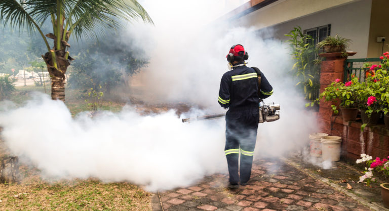 City of McAllen Health Code Enforcement to Spray for Mosquitos Again