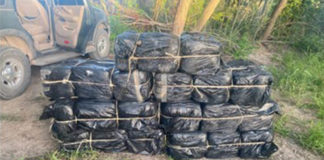 Image courtesy of U.S. Customs and Border Protection.