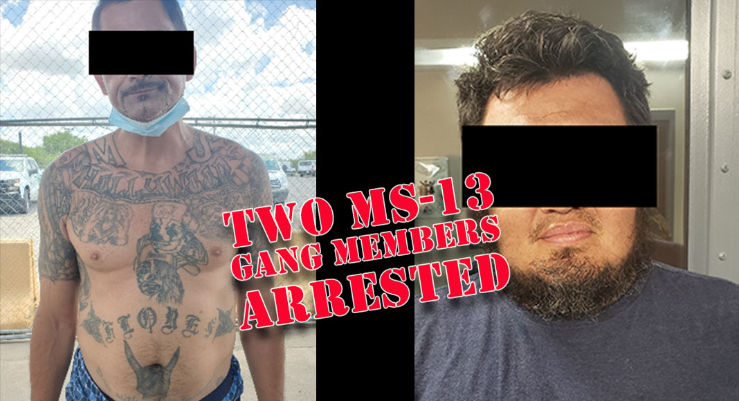 Rgv Border Patrol Arrests Two Mara Salvatrucha Gang Members Texas Border Business 