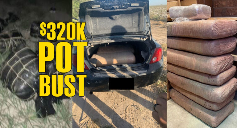 USBP Seize More Than $320K Worth of Marijuana