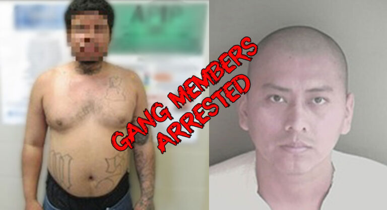 RGV Border Patrol Agents Arrest Seven Gang Members
