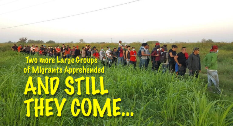 RGV Agents Apprehend Two Large Group of Migrants
