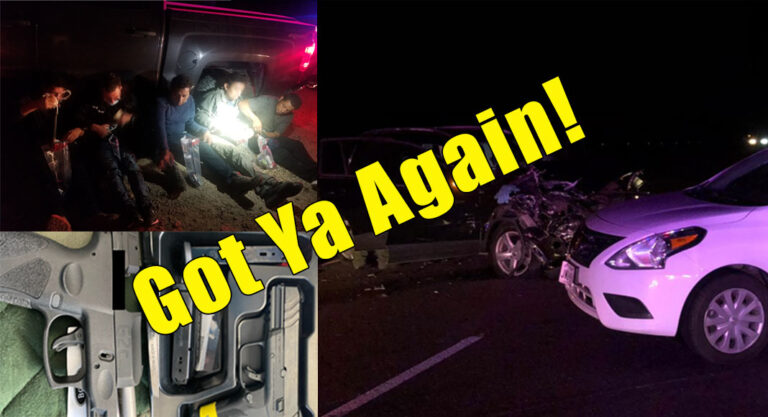 Border Patrol Foil Five Human Smuggling Events