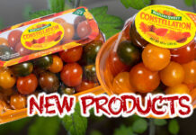 NatureSweet is introducing CONSTELLATION™ Fall Medley 10oz and 24oz packs to the line-up for tomato lovers looking to add sweetness and vibrancy to their fall snacking and mealtimes. NatureSweet Images.