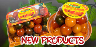 NatureSweet is introducing CONSTELLATION™ Fall Medley 10oz and 24oz packs to the line-up for tomato lovers looking to add sweetness and vibrancy to their fall snacking and mealtimes. NatureSweet Images.