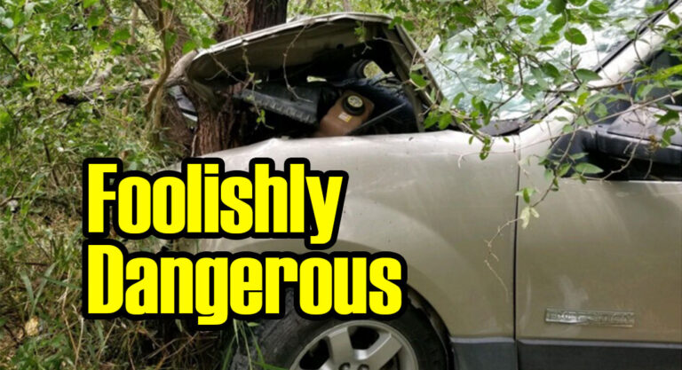 Human Smuggler Drives Vehicle into Tree
