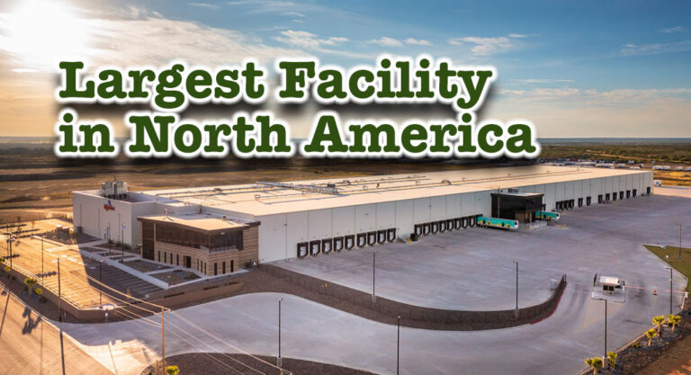 A M King Completes North America’s Largest Avocado Ripening and Processing Facility
