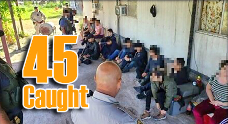Collaboration leads to 45 Apprehensions