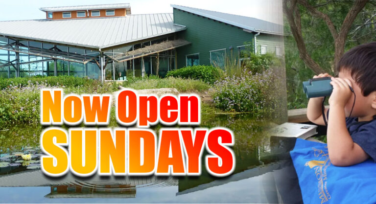 Edinburg Scenic Wetlands and World Birding Center Now Open Sundays