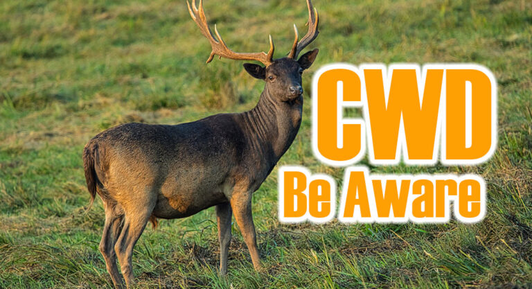 Biologists Remind Landowners and Hunters to Be Mindful of CWD Ahead of Deer Season