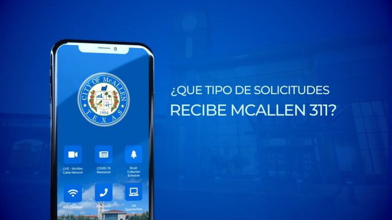 Tipo de solicitudes enviadas a McAllen 3-1-1