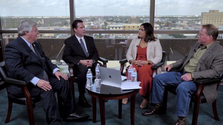Choose Harlingen: Video series, Feasibility Study, and more