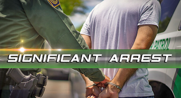 Multiple Criminal Migrants Arrested