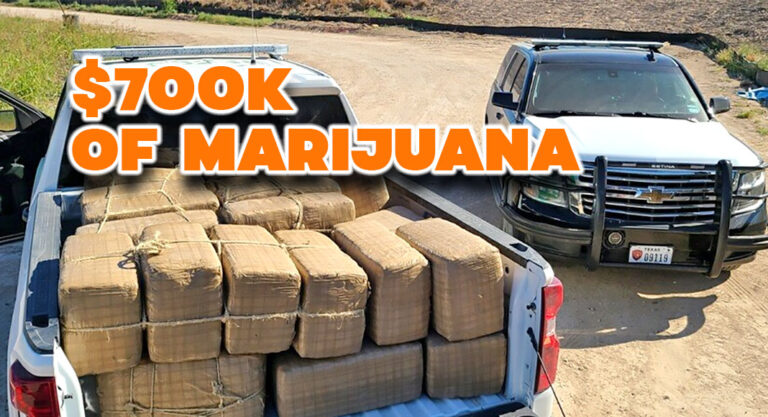 Agents Seize Nearly $700K Worth of Marijuana