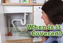 When are water damage and mold covered by insurance?