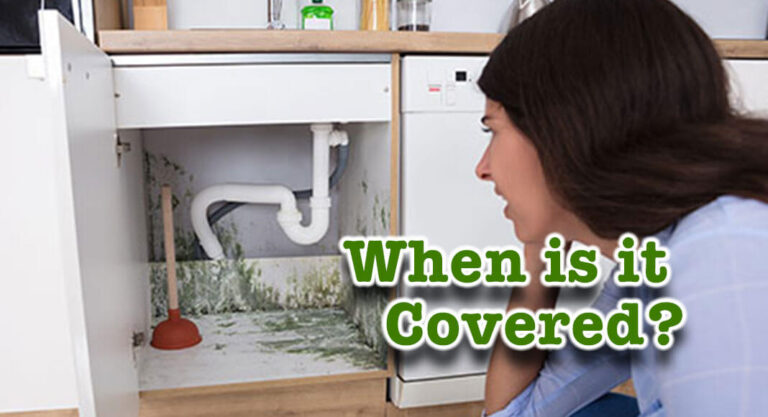 When are water damage and mold covered by insurance?