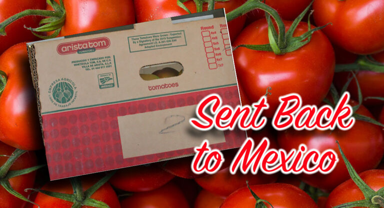 Tomato Shipment Intercepted in Attempt to Circumvent Withhold Release Order