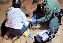 Agents rescue child in distress