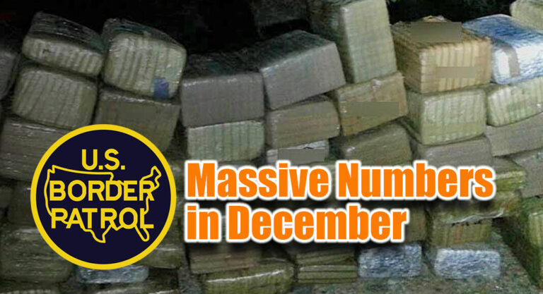 Big Drug Busts Beginning the Month of December
