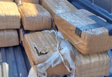 Marijuana Seizures from Brownsville to Roma