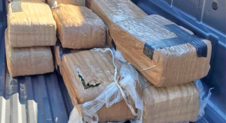 Marijuana Seizures from Brownsville to Roma