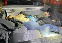 RGV Agents Disrupt Migrant Smuggling Operations