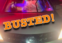 Laredo Agents Stop Human Smuggling Attempt near Hebbronville