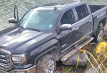 Over $236K Worth of Marijuana Seized