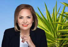 Mary Alice Palacios Will Not Seek Hidalgo County Justice of the Peace, Precinct 4, Place 2