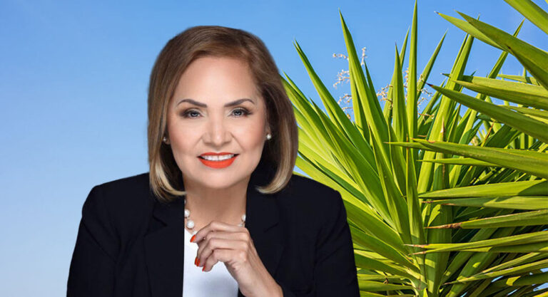 Mary Alice Palacios Will Not Seek Hidalgo County Justice of the Peace, Precinct 4, Place 2