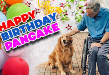 The First Dog of Texas turns 7 today