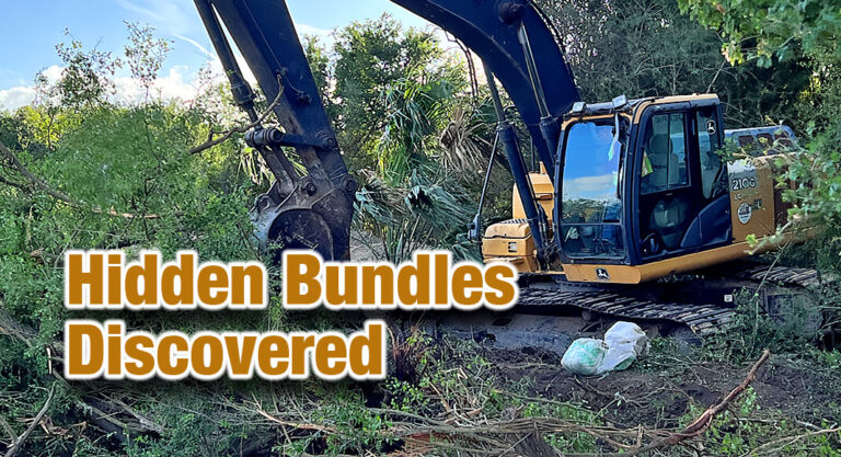Marijuana Bundles Discovered During Brush Clearing