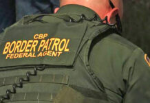 Over $485k Worth of Marijuana Seized