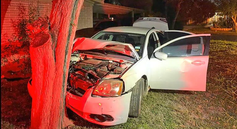Agents Halt Dangerous Smuggling Attempts